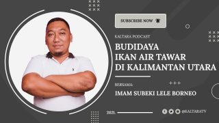 Kaltara Podcast #23 – Imam Subeki Lele Borneo Bicara Budidaya Ikan di Kaltara